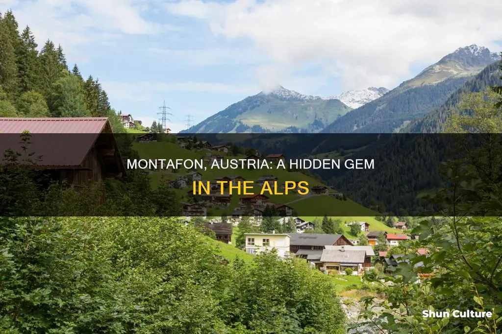 where is montafon austria