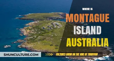 Exploring Montague Island, Australia: A Natural Gem