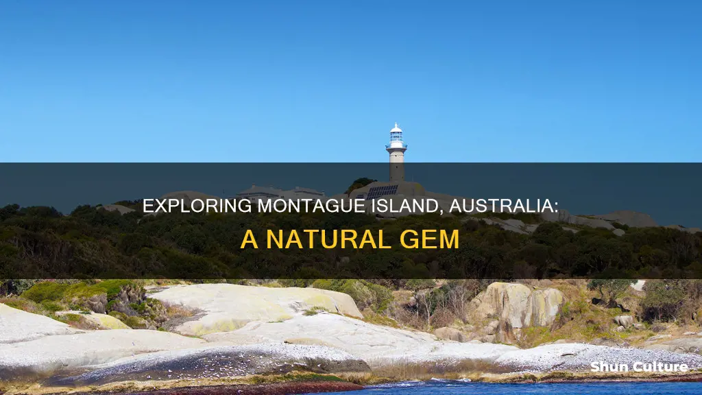 where is montague island australia