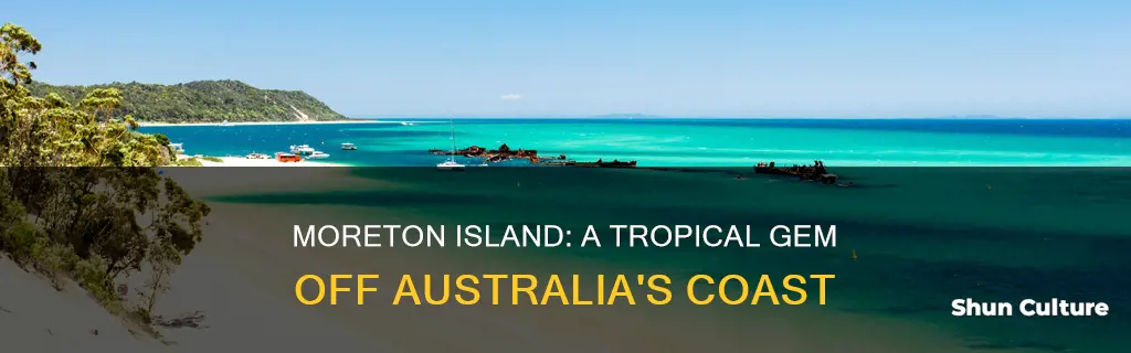 where is moreton island australia