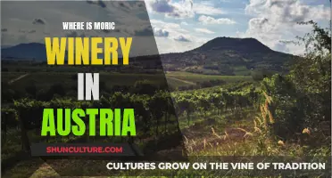 Moric Winery: A Taste of Austria's Wine Country