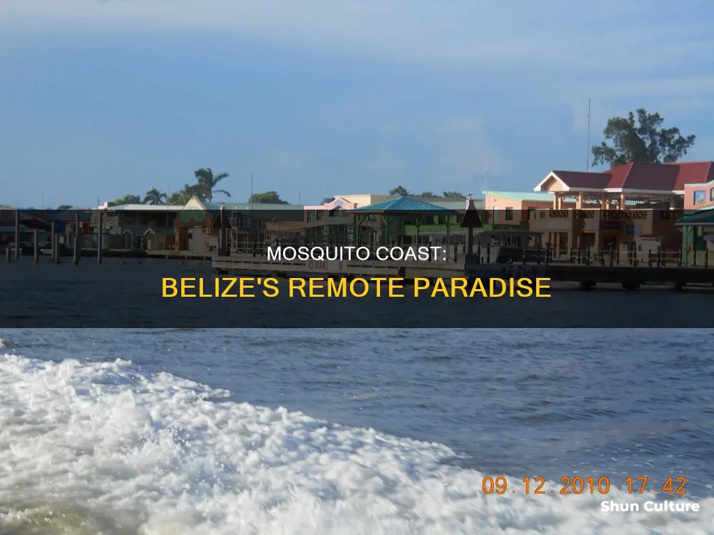 where is mosquito coast in belize