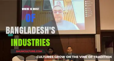 Exploring Bangladesh's Industrial Hubs: Where Are Most Industries Located?
