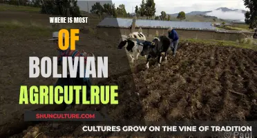 Bolivian Agriculture: Where Does It Thrive?