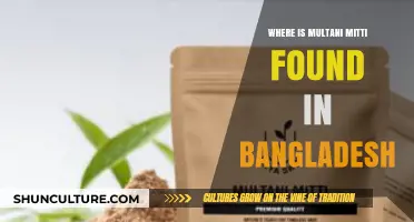 Discovering Multani Mitti: Locations in Bangladesh for This Natural Treasure