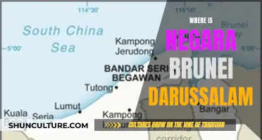 Discovering the Location of Brunei Darussalam in Southeast Asia