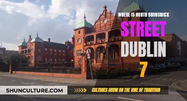 Dublin's North Brunswick Street: A Vibrant Hub