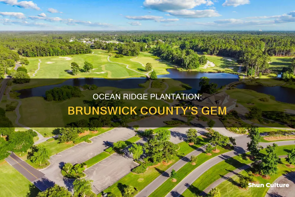 where is ocean ridge plantation in brunswick county