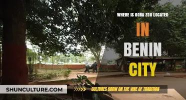 Exploring Benin City: A Guide to Ogba Zoo's Exact Location