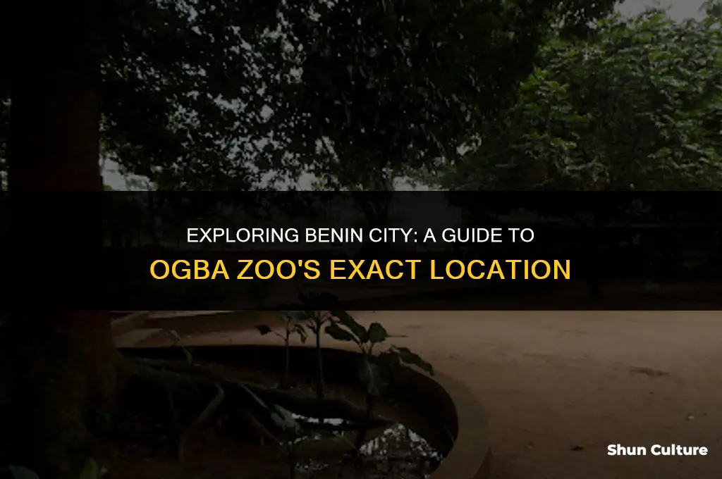 where is ogba zoo located in benin city