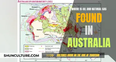 Oil and Gas in Australia: Where Are the Sources?