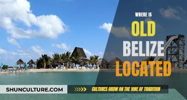 Old Belize: A Historical Perspective