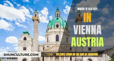 Exploring Vienna's Historic Old City: A Traveler's Guide