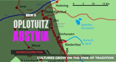 Oplotuitz's Austrian Adventure: Unveiling the Mystery