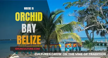 Orchid Bay: A Tropical Paradise in Belize