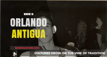 Orlando Antigua's Current Location: Tracking the Basketball Coach's Journey