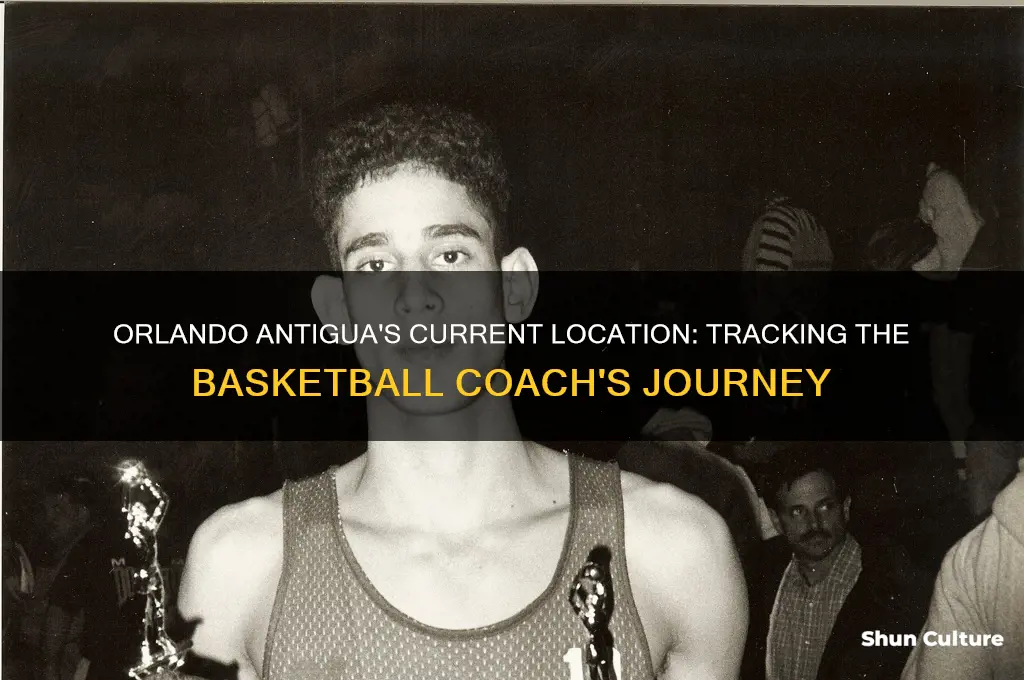 where is orlando antigua
