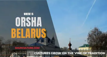 Orsha, Belarus: A Historic City on the Dnieper River