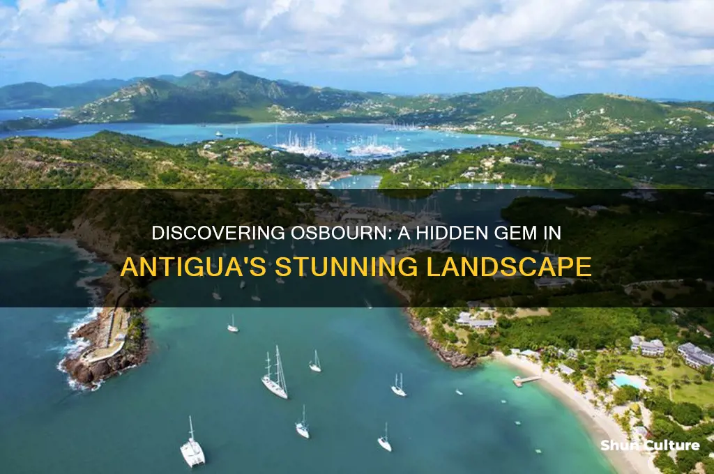 where is osbourn antigua
