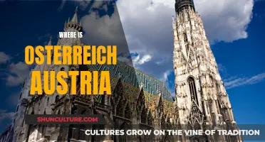 Discovering Austria's Place in the World