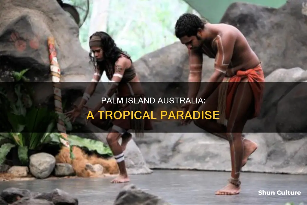 where is palm island australia
