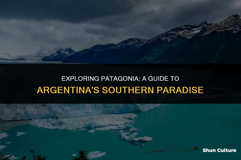 where is patagonia located in argentina