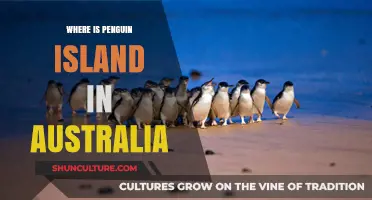 Penguin Island: Australia's Wildlife Sanctuary