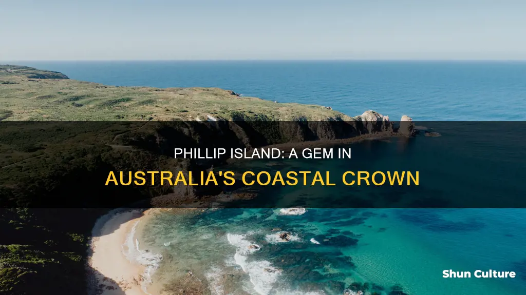 where is phillip island located in australia