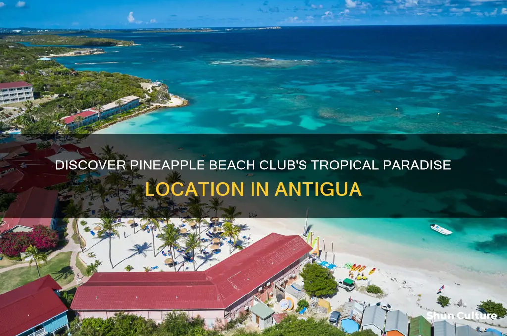 where is pineapple beach club antigua