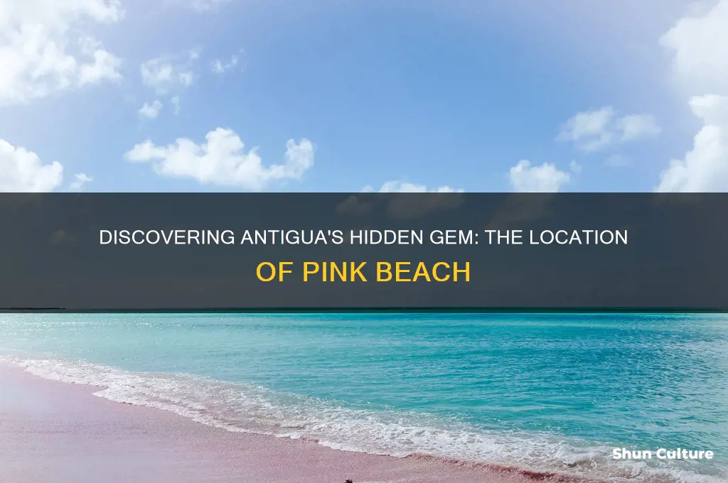 where is pink beach antigua