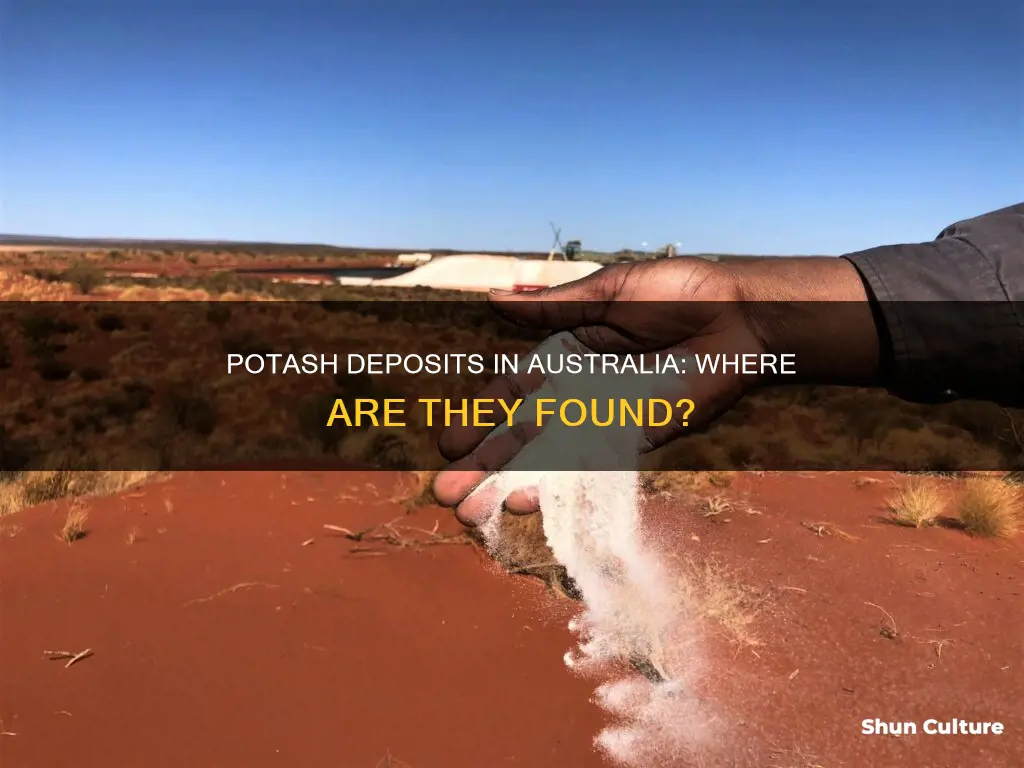 where is potash found in australia