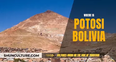 Exploring Potosi: A Bolivian Gem in the Mountains