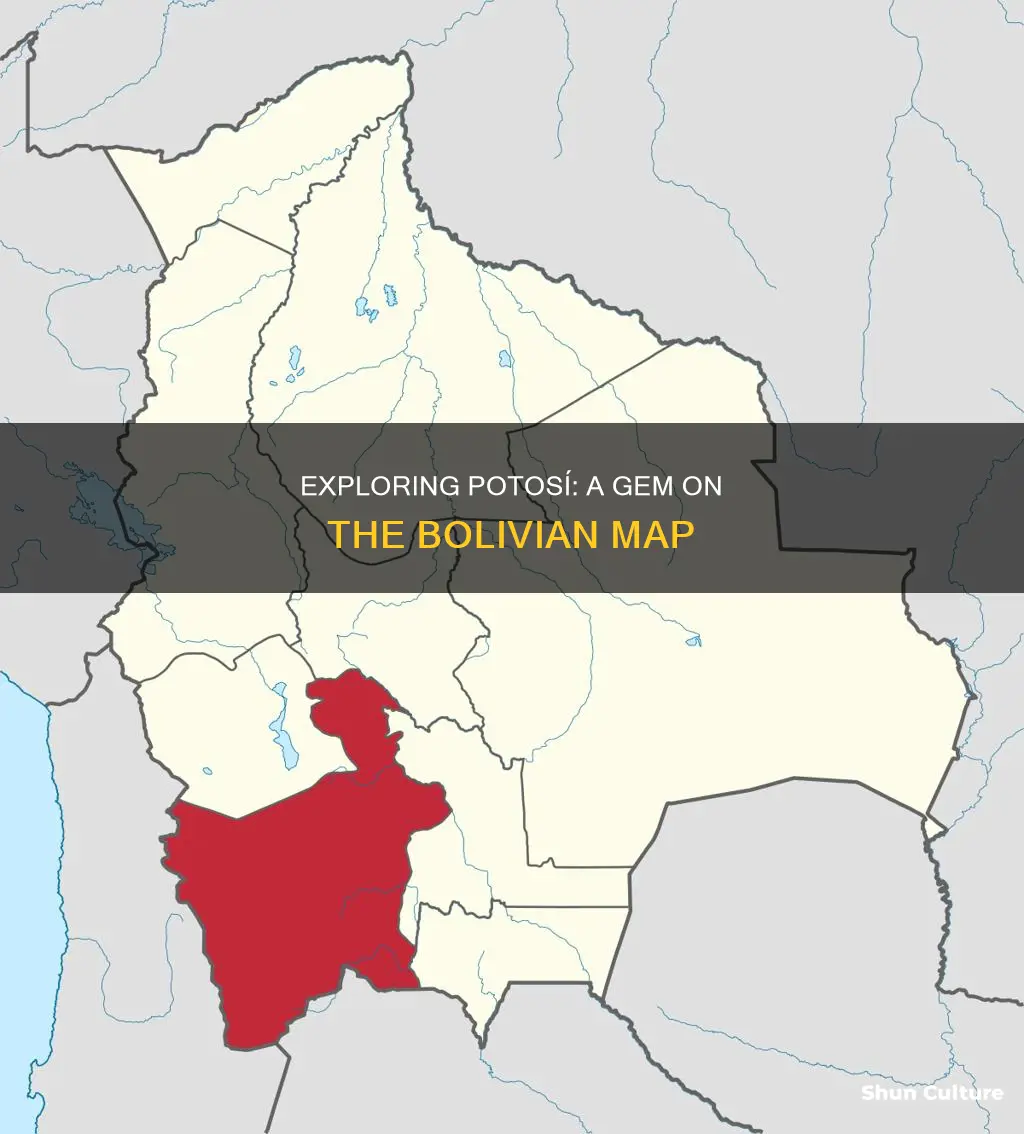 where is potosi on the bolivian map