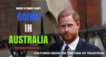 Prince Harry's Australian Adventure: Destinations and Purpose Revealed