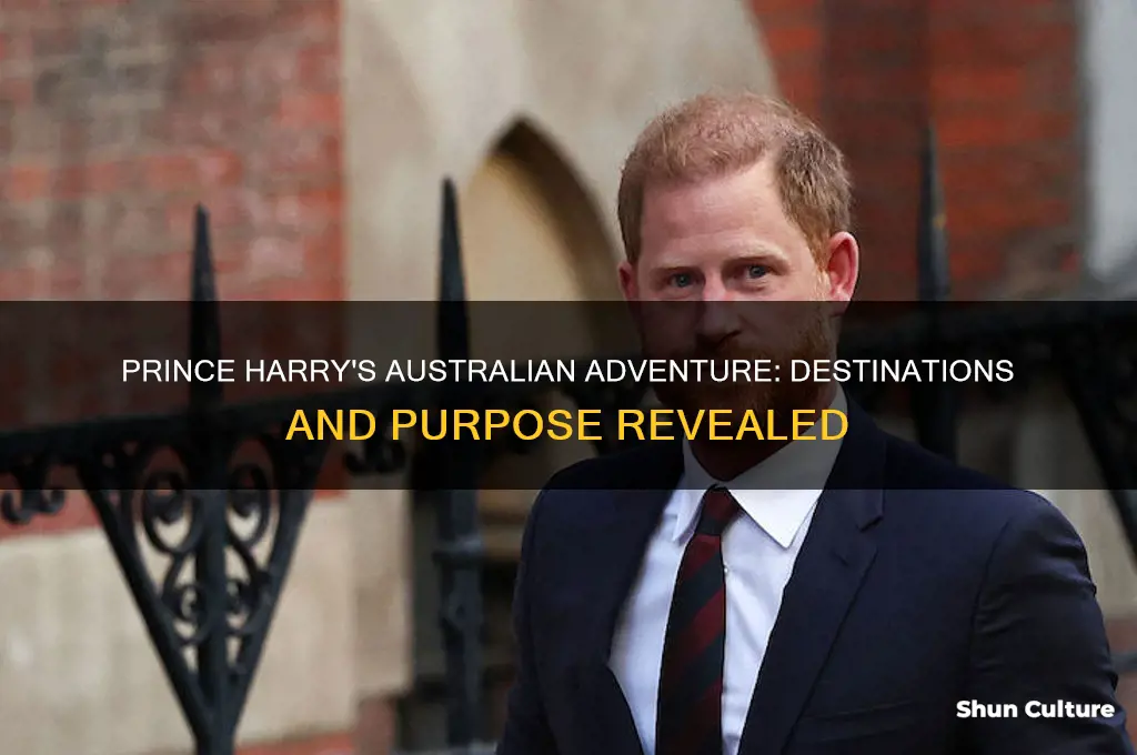 where is prince harry going in australia