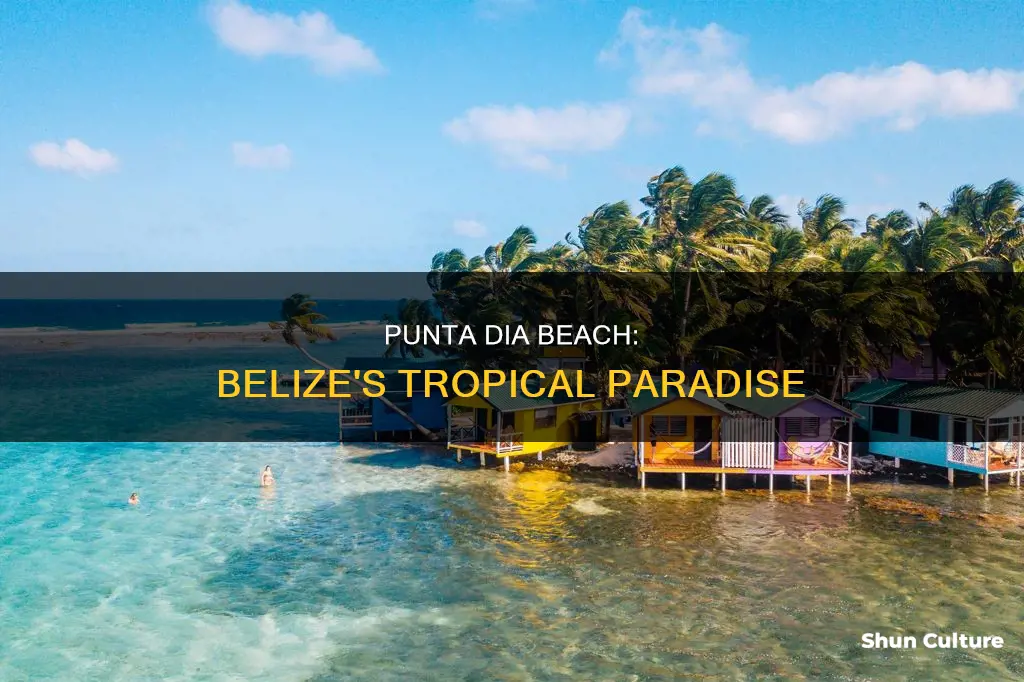 where is punta dia beach belize