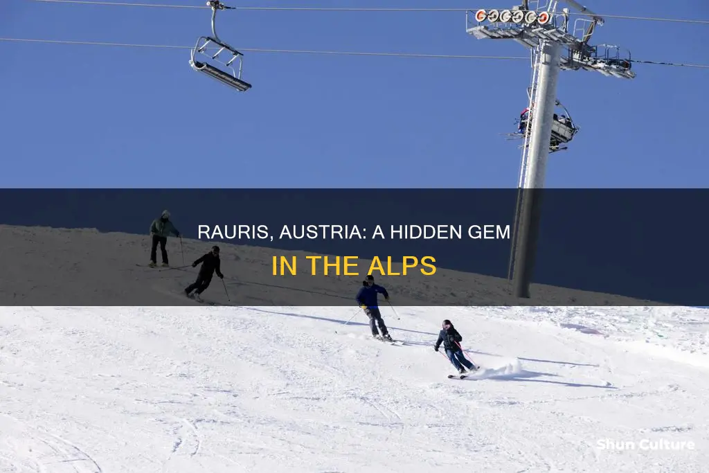 where is rauris austria