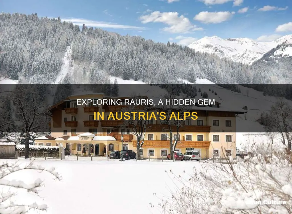 where is rauris austria