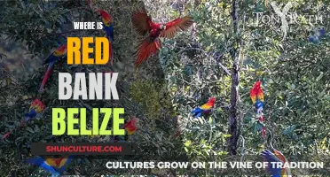 Belize's Red Bank: A Remote Riverine Paradise