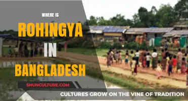 Rohingya Refugees in Bangladesh: Location, Camps, and Humanitarian Crisis
