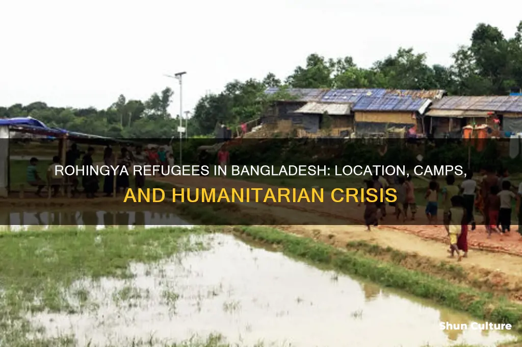 where is rohingya in bangladesh