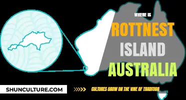 Exploring Rottnest Island, Australia's Hidden Gem