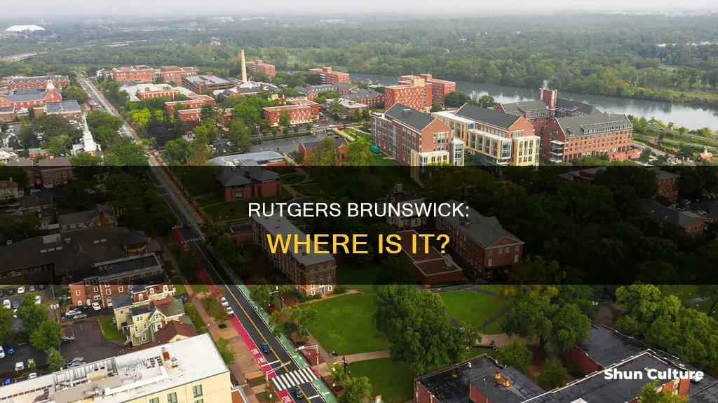 where is rutgers brunswick located