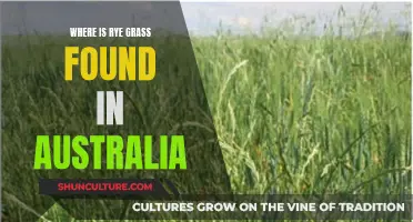 Rye Grass: Australia's Natural Wonder