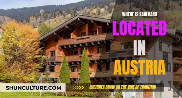 Exploring Saalbach: A Gem in the Austrian Alps