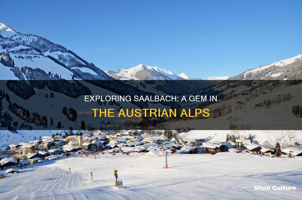 where is saalbach located in austria