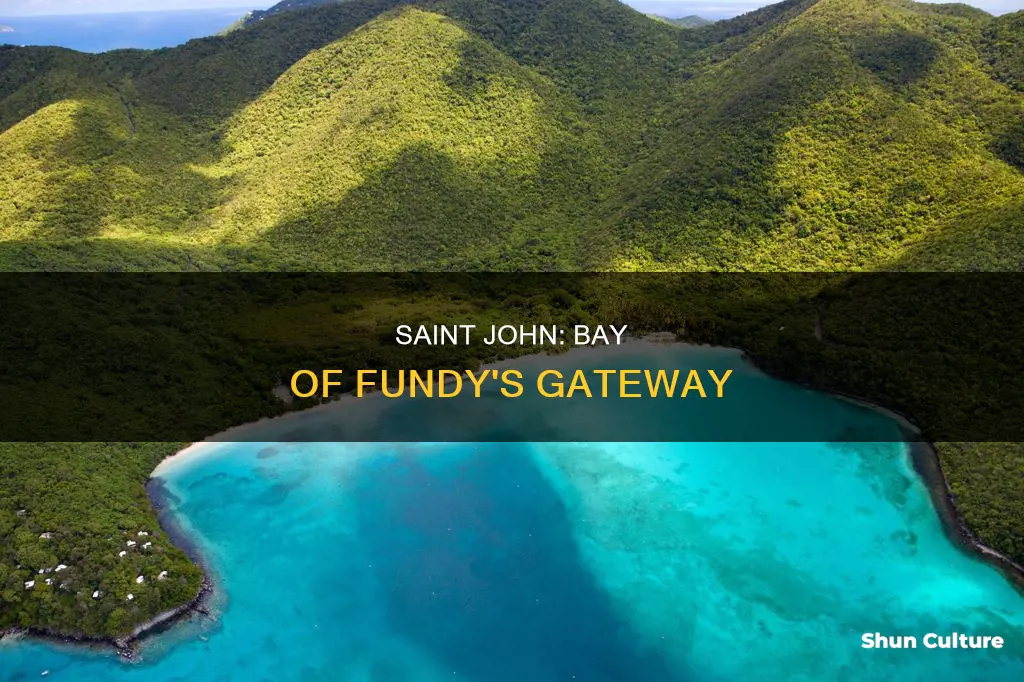 where is saint john bay of fundy new brunswick