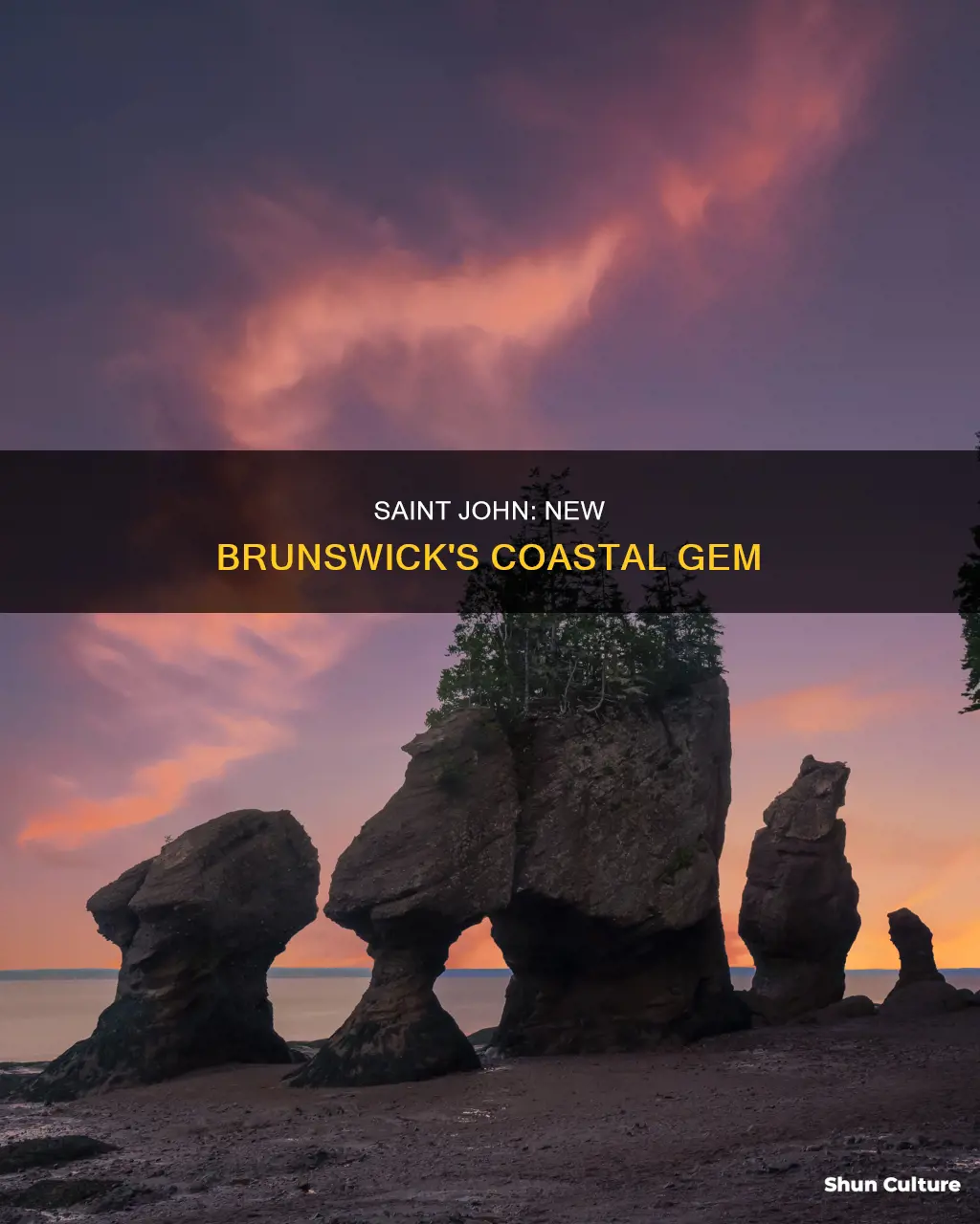 where is saint john new brunswick located