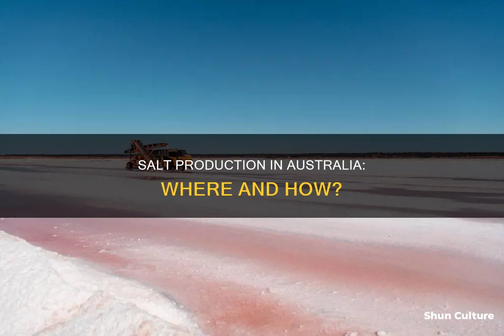 where is salt made in australia