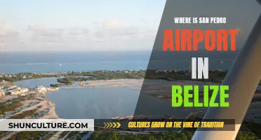 San Pedro Airport: Location and Travel Guide